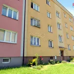 Rent 2 bedroom apartment of 61 m² in Ostrava