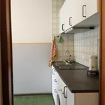 Rent 2 bedroom apartment of 30 m² in Padova 