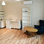 Rent 1 bedroom apartment of 25 m² in Zabrze