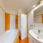 Rent 2 bedroom apartment in Plzeň