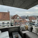 Rent 3 bedroom apartment of 69 m² in 3811BP Amersfoort