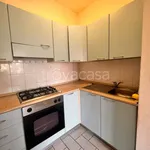 Rent 5 bedroom apartment of 100 m² in Perugia