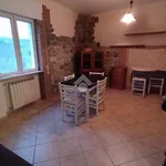 Rent 3 bedroom apartment of 60 m² in Roma