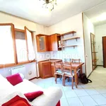 2-room flat via Luigi Capuana 50, Stellanda - Castellazzo, Rho