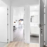 Rent 1 bedroom apartment in madrid