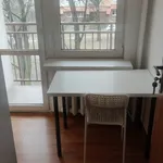 Rent a room in Katowice