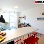 Rent 1 bedroom apartment of 29 m² in Brno