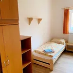 Rent 1 bedroom apartment of 10 m² in Nedvědice