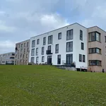 Huur 1 slaapkamer appartement van 40 m² in Dronten