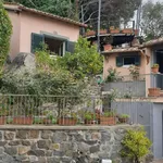 Rent 4 bedroom house of 100 m² in Trevignano Romano