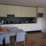 Huur 1 slaapkamer appartement van 42 m² in Harskamp