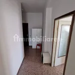 Rent 1 bedroom apartment of 15 m² in Pavia