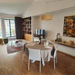 Rent 4 bedroom house of 160 m² in Novara