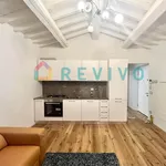 Rent 4 bedroom house of 100 m² in Florence