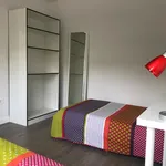 Alquilar 4 dormitorio apartamento en Salamanca