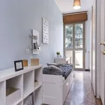 Rent a room in bologna