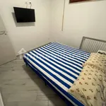 Rent 3 bedroom apartment of 45 m² in Pisa