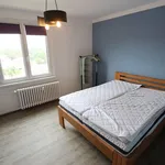 Rent 3 bedroom apartment of 65 m² in cizkovice