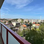 Rent 1 bedroom apartment of 29 m² in Capital City of Prague