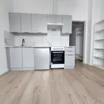 Rent 1 bedroom apartment of 20 m² in Poznan