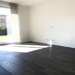 Rent 4 bedroom house of 158 m² in Leipzig