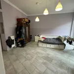 Rent 1 bedroom apartment of 47 m² in Torino