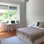 Rent 6 bedroom apartment in Lisbon