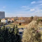 Pronajměte si 3 ložnic/e byt o rozloze 85 m² v Hradec Králové