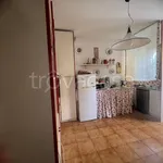 Rent 3 bedroom apartment of 75 m² in Pisa