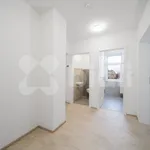 Rent 3 bedroom apartment in Hradec Králové