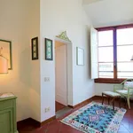 Rent 1 bedroom apartment in Florence