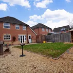 Rent 4 bedroom house in Winchester