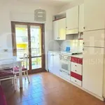 Rent 2 bedroom apartment of 50 m² in Terracina