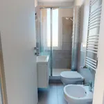 Rent 1 bedroom apartment in milano