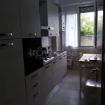 Rent 3 bedroom apartment of 95 m² in Garbagnate Milanese