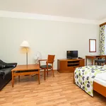 Rent 1 bedroom apartment of 27 m² in Prague