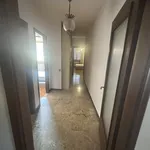 Rent 3 bedroom apartment of 130 m² in Padova