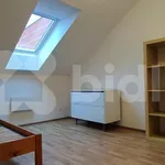 Rent 4 bedroom apartment of 91 m² in Chýně