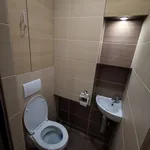 Rent 3 bedroom apartment in Vsetín