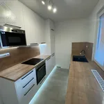 Pronájem bytu 2+1 54m²