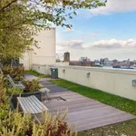 Rent 1 bedroom apartment in Brooklyn