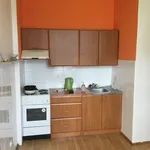 Rent 2 bedroom apartment in Trutnov