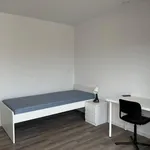 Rent 8 bedroom apartment in Porto