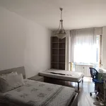 Rent 3 bedroom apartment of 105 m² in Padova