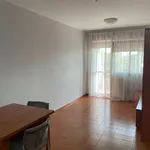 Rent 1 bedroom apartment of 50 m² in Latina