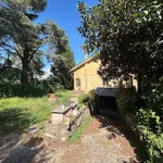 Rent 5 bedroom house of 180 m² in Rocca Priora