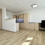 Rent 4 bedroom apartment of 85 m² in Nymburk