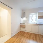 Rent 1 bedroom apartment of 38 m² in Praha 3 - Žižkov