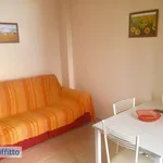 Appartamento arredato con terrazzo Centro