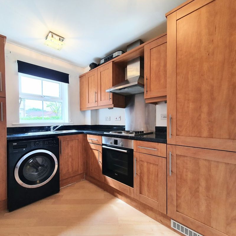 1 Bedroom Ground Floor Flat